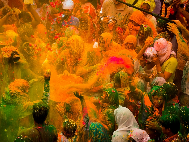 20160321 HOLI @ INDIA c2016 Stephan Mussil NR 158 .jpg