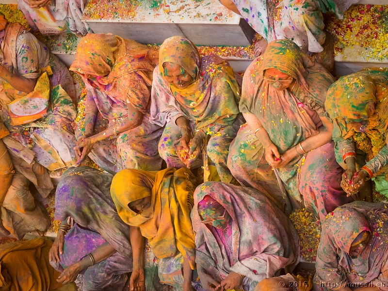 20160321 HOLI @ INDIA c2016 Stephan Mussil NR 244 .jpg