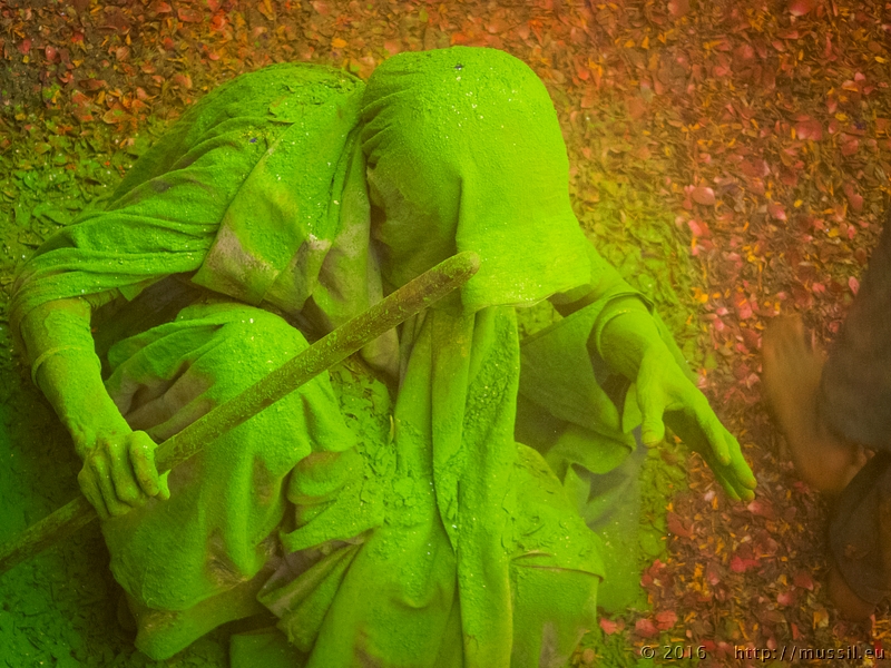 20160321 HOLI @ INDIA c2016 Stephan Mussil NR 245 .jpg