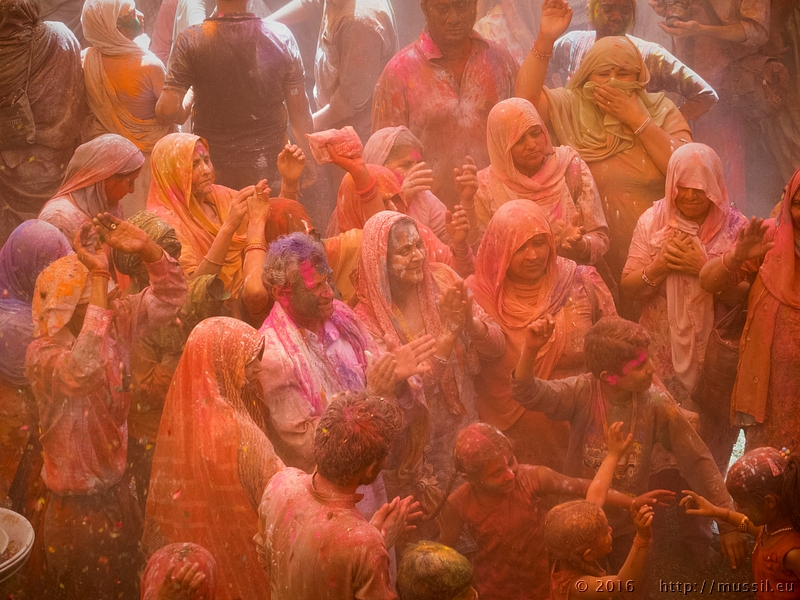 20160321 HOLI @ INDIA c2016 Stephan Mussil NR 277 .jpg