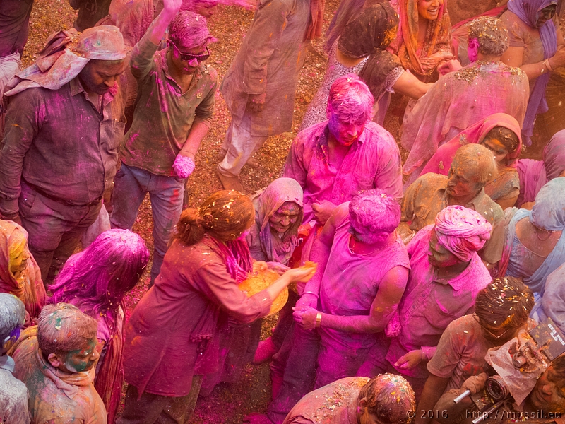 20160321 HOLI @ INDIA c2016 Stephan Mussil NR 330 .jpg