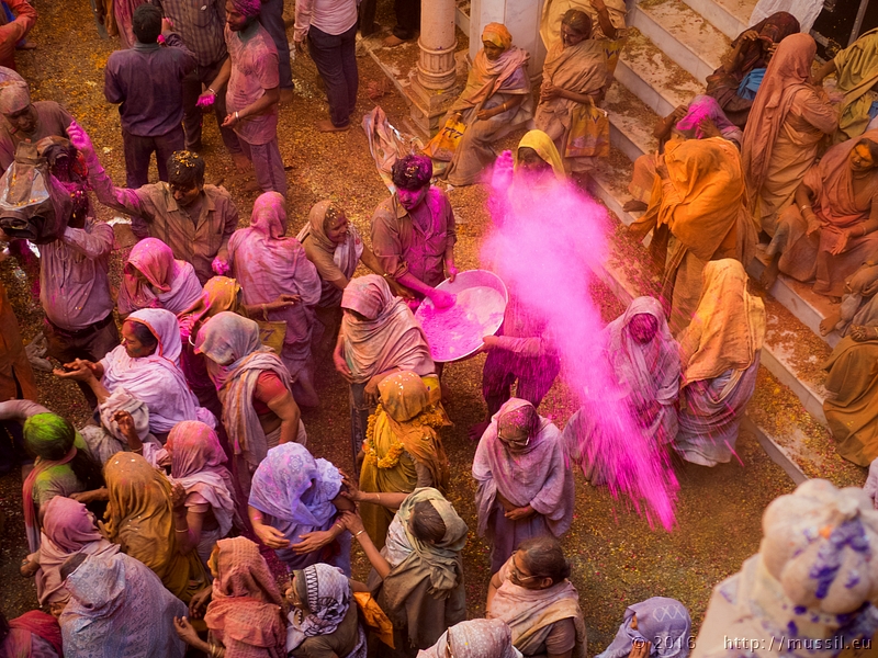 20160321 HOLI @ INDIA c2016 Stephan Mussil NR 338 .jpg
