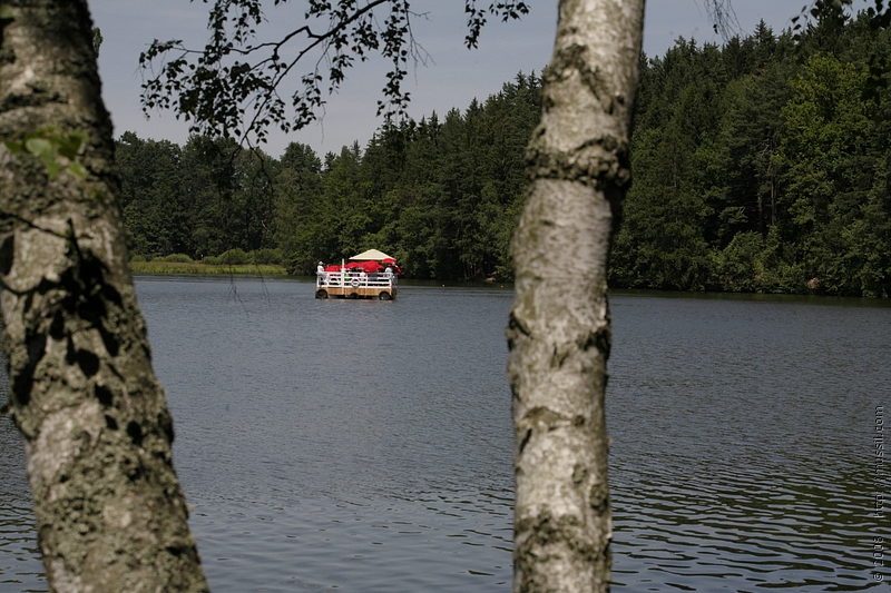 _MG_8963.JPG