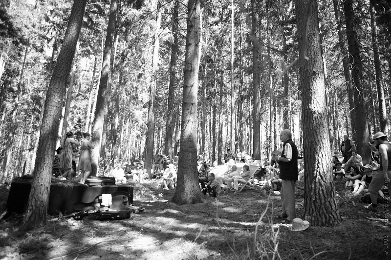 _MG_8994.JPG