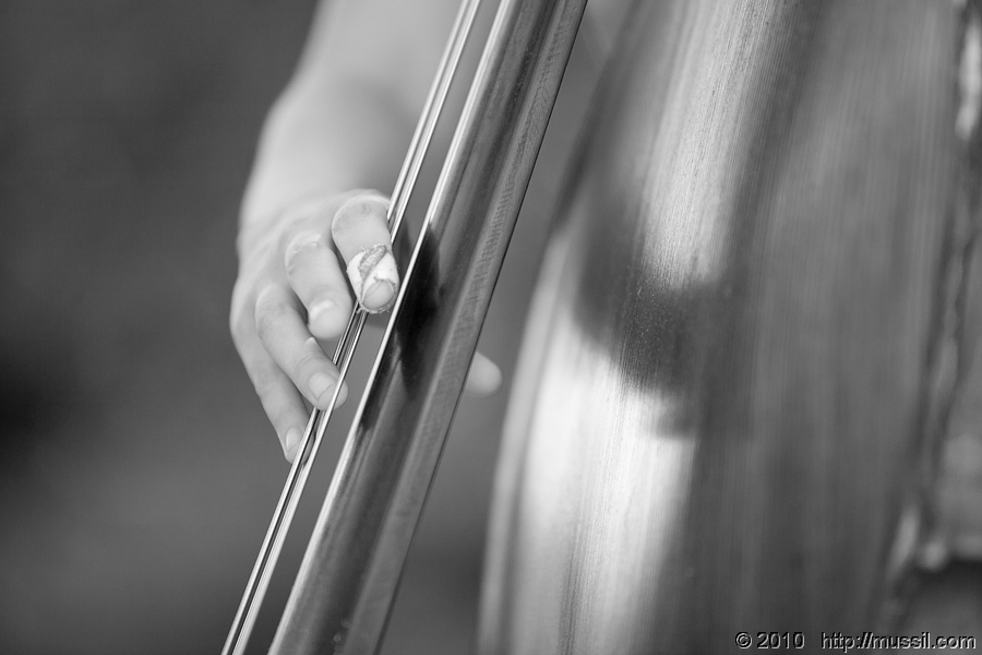 287_SCHRAMMELKLANG_COPYRIGHT2010_www.mussil.com_BW.jpg