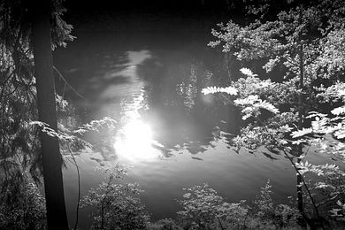 335_SCHRAMMELKLANG_COPYRIGHT2010_www.mussil.com_BW.jpg