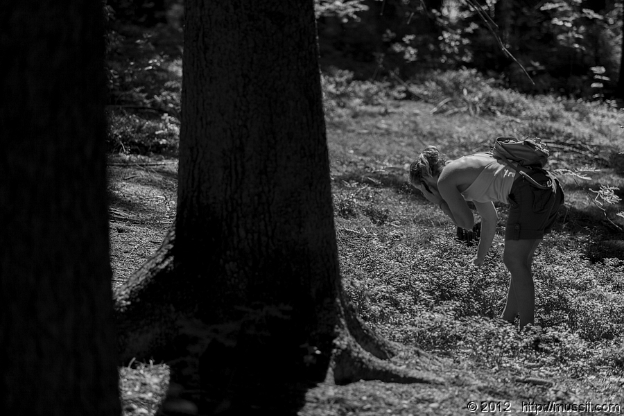 _MG_0482_c2012_www.mussil.com.jpg