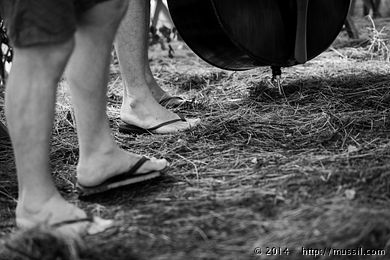 SCHRAMMELKLANG c2014 www.mussil.com 0969_BW.jpg