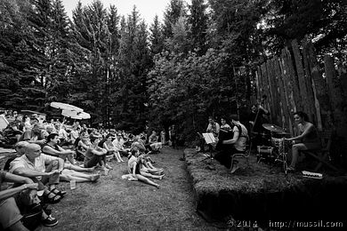 SCHRAMMELKLANG c2014 www.mussil.com 1166_BW.jpg