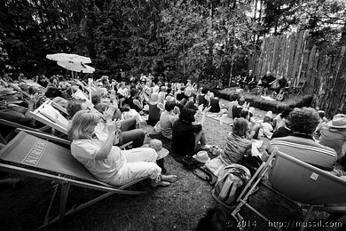 SCHRAMMELKLANG c2014 www.mussil.com 1204_BW.jpg