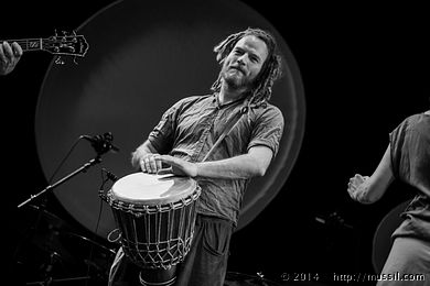 SCHRAMMELKLANG c2014 www.mussil.com 1264_BW.jpg