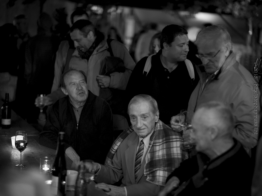 SCHRAMMELKLANG @ LITSCHAU 20150711 c2015 www.stephanmussil.at NR 145 L.jpg