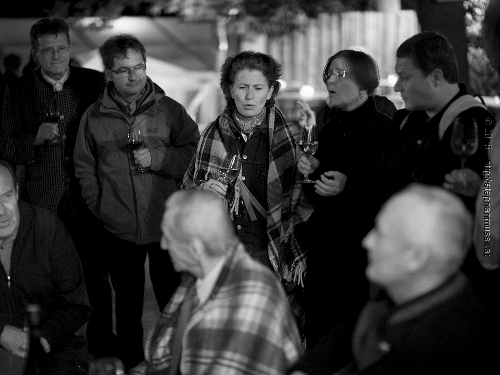 SCHRAMMELKLANG @ LITSCHAU 20150711 c2015 www.stephanmussil.at NR 157 L.jpg