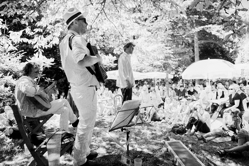 SCHRAMMELKLANG @ LITSCHAU 20150711 c2015 www.stephanmussil.at NR 227 L.jpg