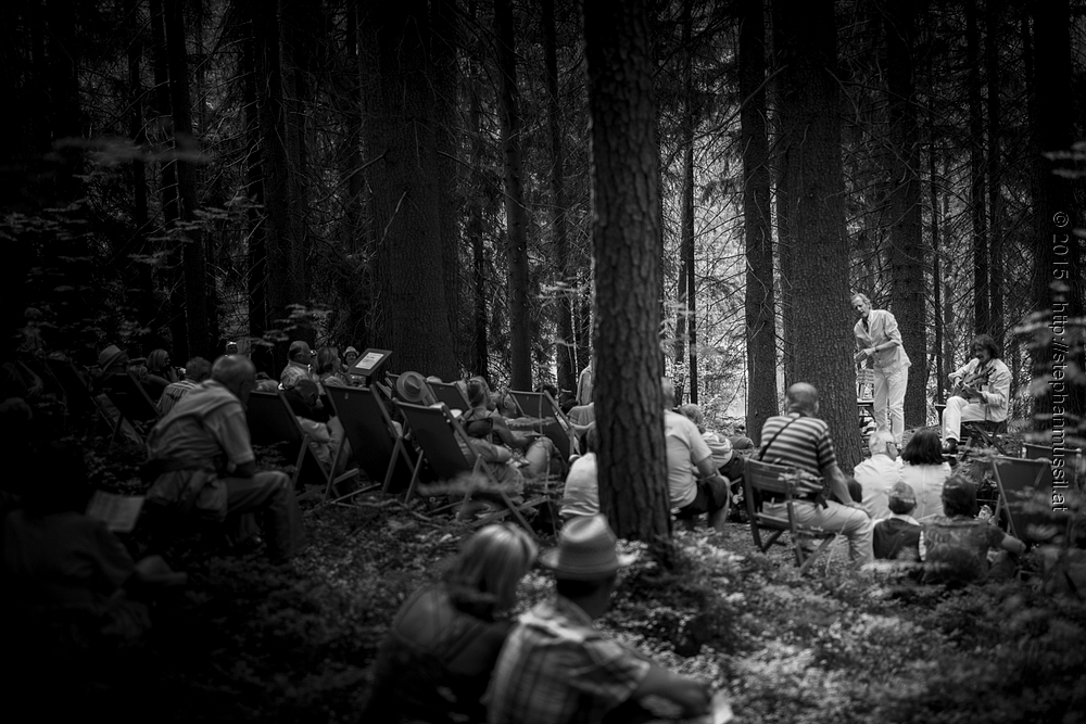 SCHRAMMELKLANG @ LITSCHAU 20150711 c2015 www.stephanmussil.at NR 248 L.jpg