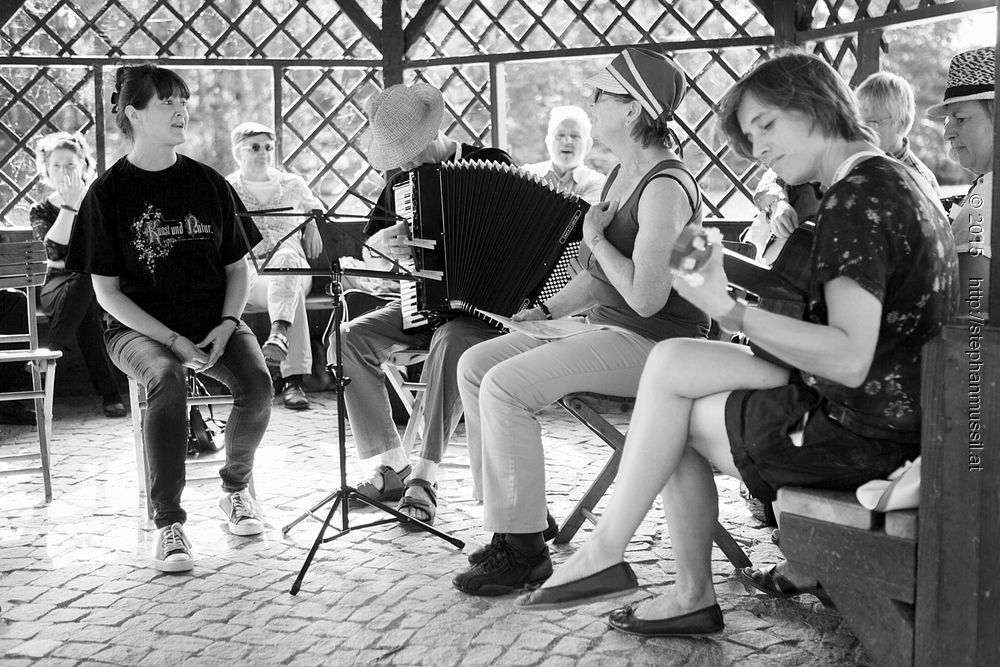 SCHRAMMELKLANG @ LITSCHAU 20150711 c2015 www.stephanmussil.at NR 274 L.jpg