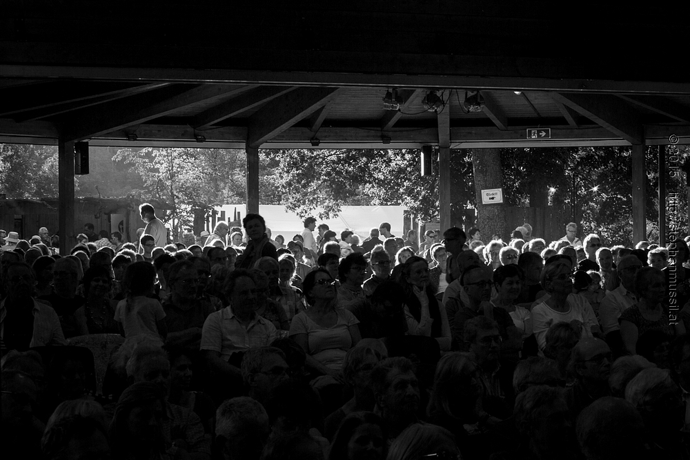 SCHRAMMELKLANG @ LITSCHAU 20150711 c2015 www.stephanmussil.at NR 280 L.jpg