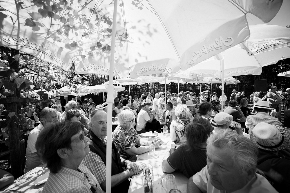 SCHRAMMELKLANG @ LITSCHAU 20150712 c2015 www.stephanmussil.at NR 382 L.jpg
