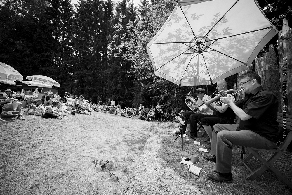 SCHRAMMELKLANG @ LITSCHAU 20150712 c2015 www.stephanmussil.at NR 422 L.jpg