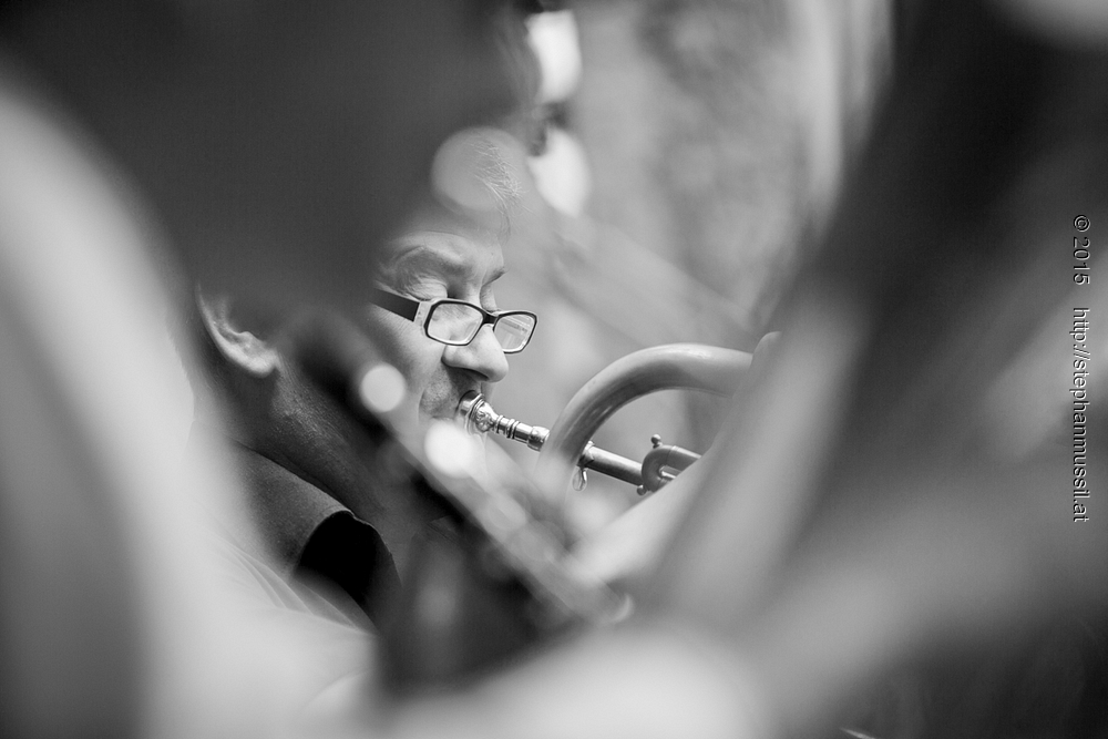 SCHRAMMELKLANG @ LITSCHAU 20150712 c2015 www.stephanmussil.at NR 436 L.jpg