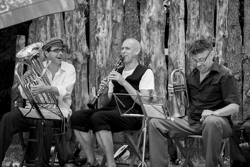 SCHRAMMELKLANG @ LITSCHAU 20150712 c2015 www.stephanmussil.at NR 451 L.jpg