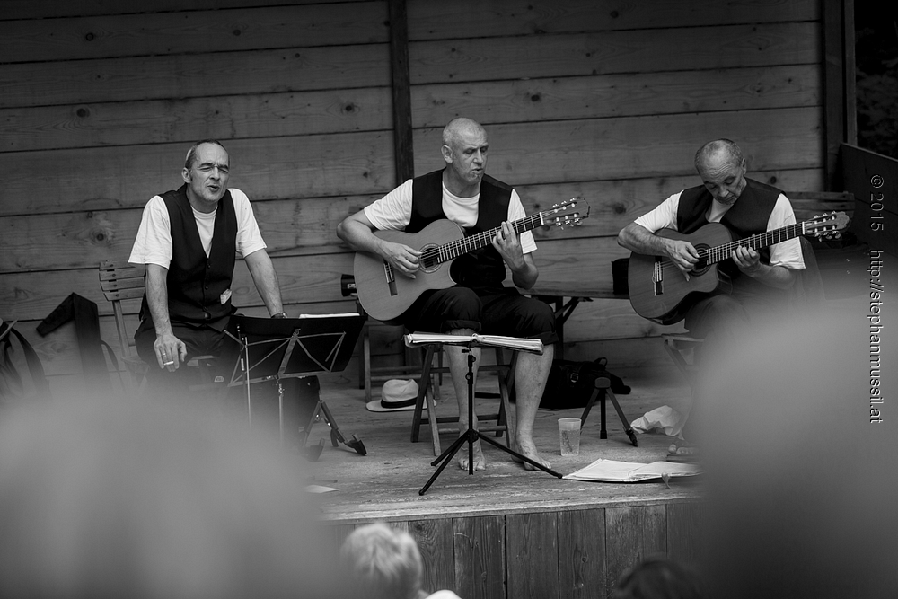 SCHRAMMELKLANG @ LITSCHAU 20150712 c2015 www.stephanmussil.at NR 465 L.jpg