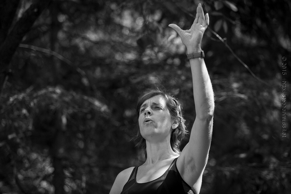SCHRAMMELKLANG @ LITSCHAU 20150712 c2015 www.stephanmussil.at NR 489 L.jpg