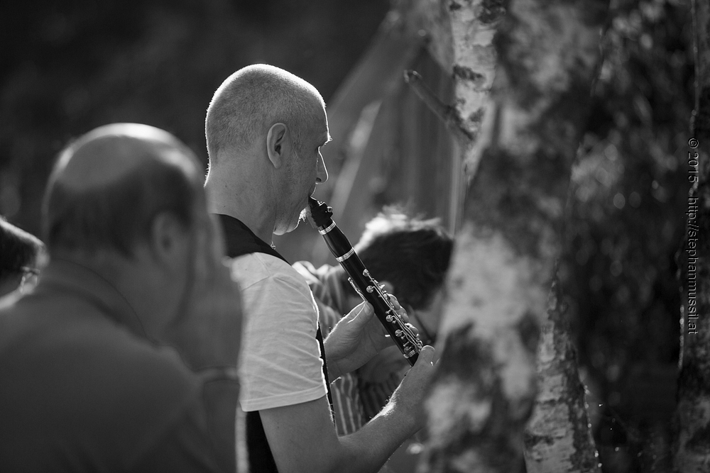 SCHRAMMELKLANG @ LITSCHAU 20150712 c2015 www.stephanmussil.at NR 574 L.jpg