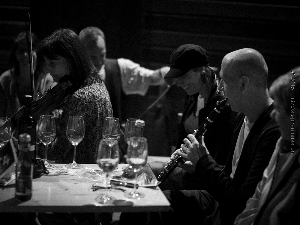 SCHRAMMELKLANG @ LITSCHAU 20150712 c2015 www.stephanmussil.at NR 663 L.jpg