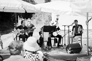 SCHRAMMELKLANG @ LITSCHAU 20150712 c2015 www.stephanmussil.at NR 355 L.jpg