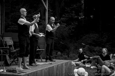 SCHRAMMELKLANG @ LITSCHAU 20150712 c2015 www.stephanmussil.at NR 466 L.jpg