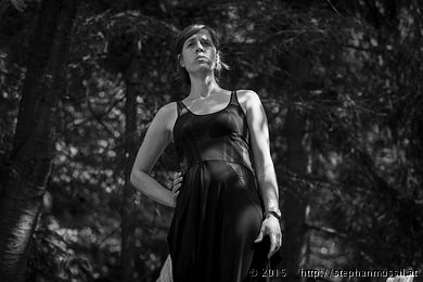 SCHRAMMELKLANG @ LITSCHAU 20150712 c2015 www.stephanmussil.at NR 490 L.jpg