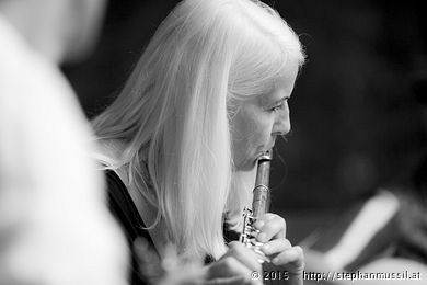 SCHRAMMELKLANG @ LITSCHAU 20150712 c2015 www.stephanmussil.at NR 515 L.jpg