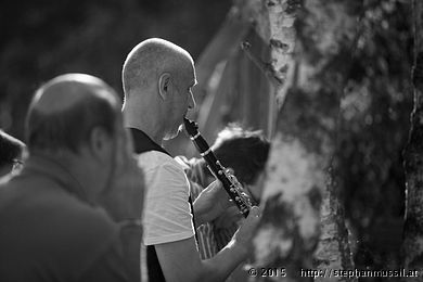 SCHRAMMELKLANG @ LITSCHAU 20150712 c2015 www.stephanmussil.at NR 574 L.jpg