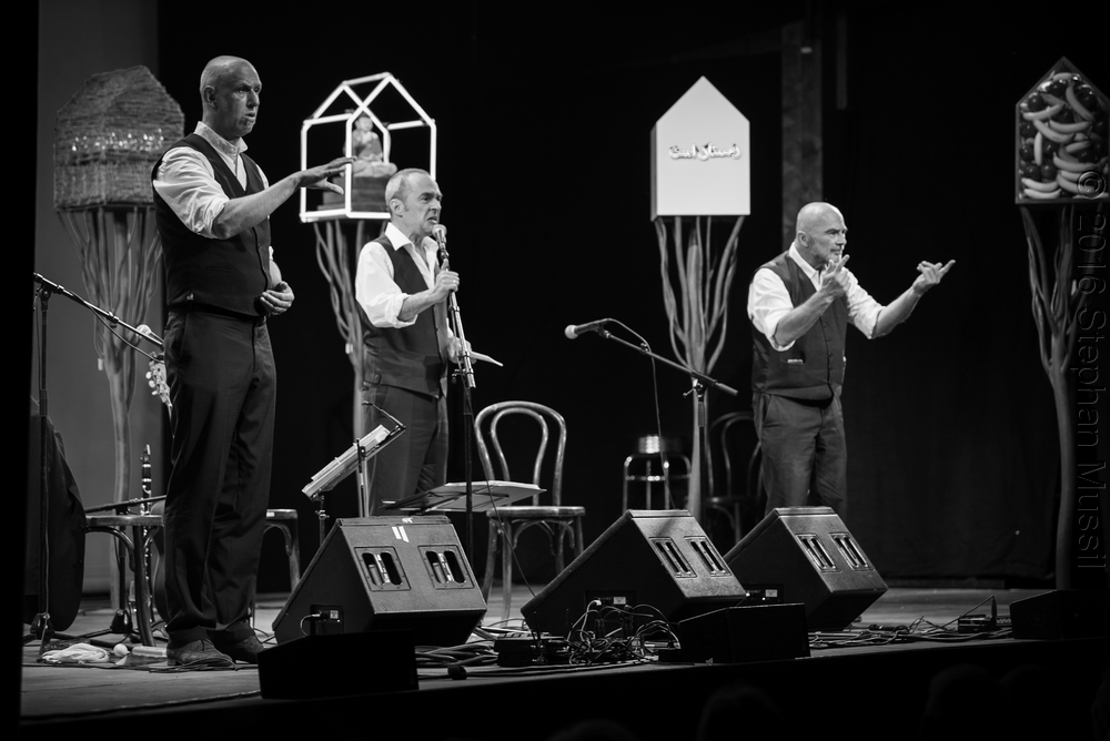 20160708 Schrammelklang @ Litschau c2016 www.stephanmussil.at NR 073.jpg