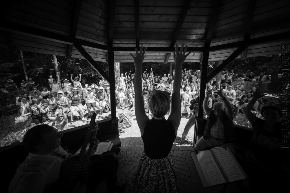 20160709 Schrammelklang @ Litschau c2016 www.stephanmussil.at NR 125.jpg