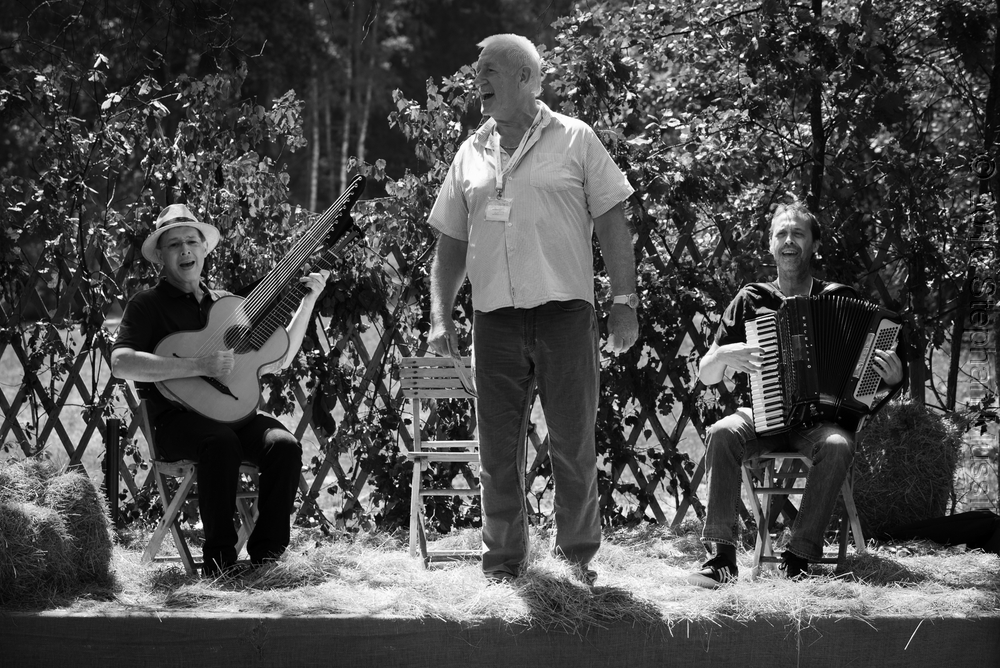 20160709 Schrammelklang @ Litschau c2016 www.stephanmussil.at NR 158.jpg
