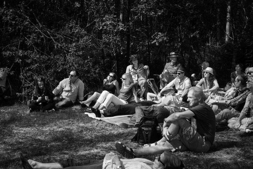 20160709 Schrammelklang @ Litschau c2016 www.stephanmussil.at NR 171.jpg
