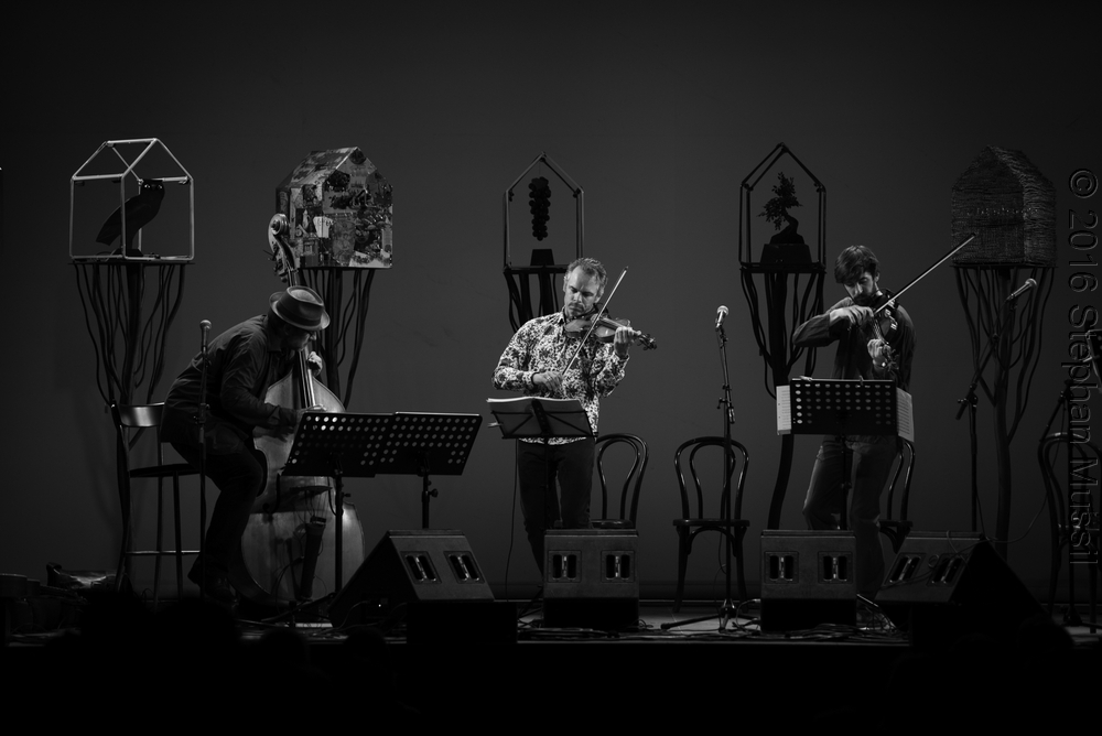 20160709 Schrammelklang @ Litschau c2016 www.stephanmussil.at NR 238.jpg