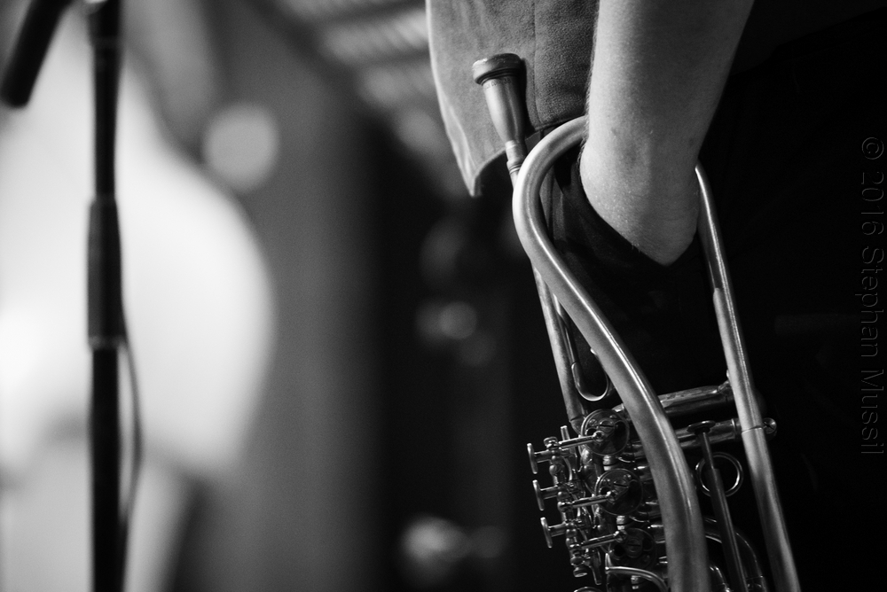 20160709 Schrammelklang @ Litschau c2016 www.stephanmussil.at NR 245.jpg
