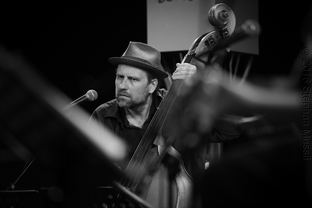 20160709 Schrammelklang @ Litschau c2016 www.stephanmussil.at NR 256.jpg