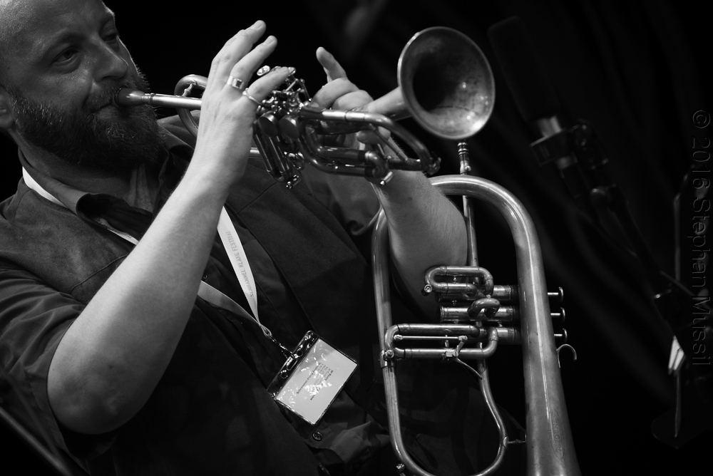 20160709 Schrammelklang @ Litschau c2016 www.stephanmussil.at NR 265.jpg