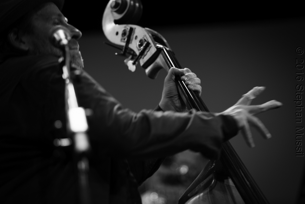 20160709 Schrammelklang @ Litschau c2016 www.stephanmussil.at NR 272.jpg