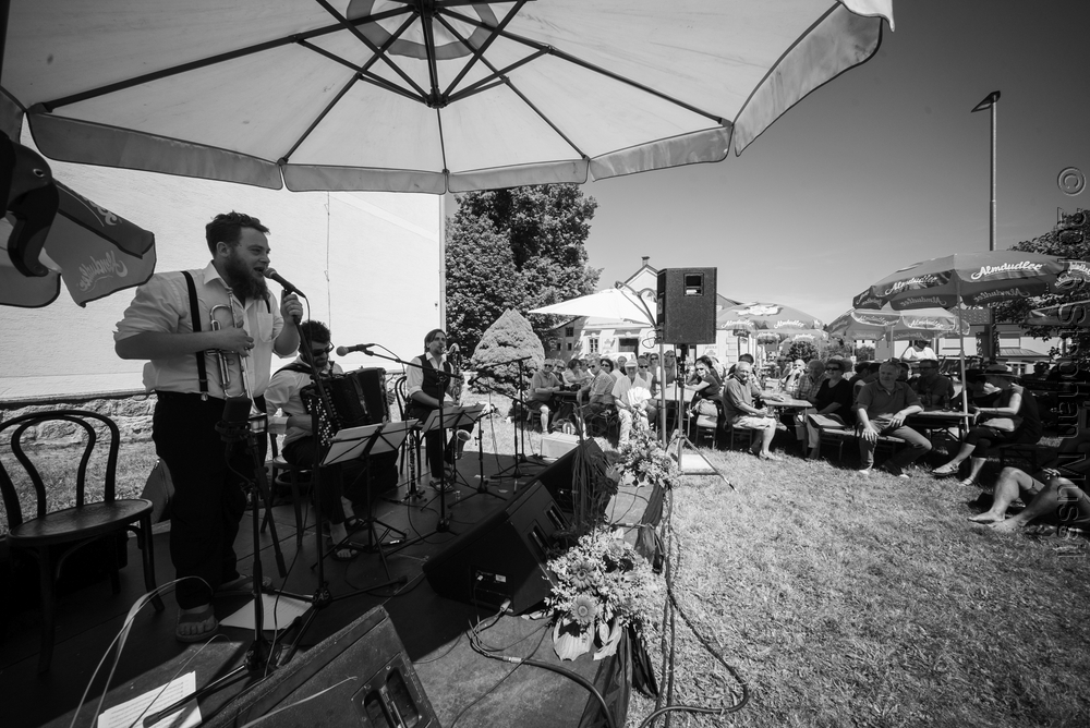 20160710 Schrammelklang @ Litschau c2016 www.stephanmussil.at NR 295.jpg