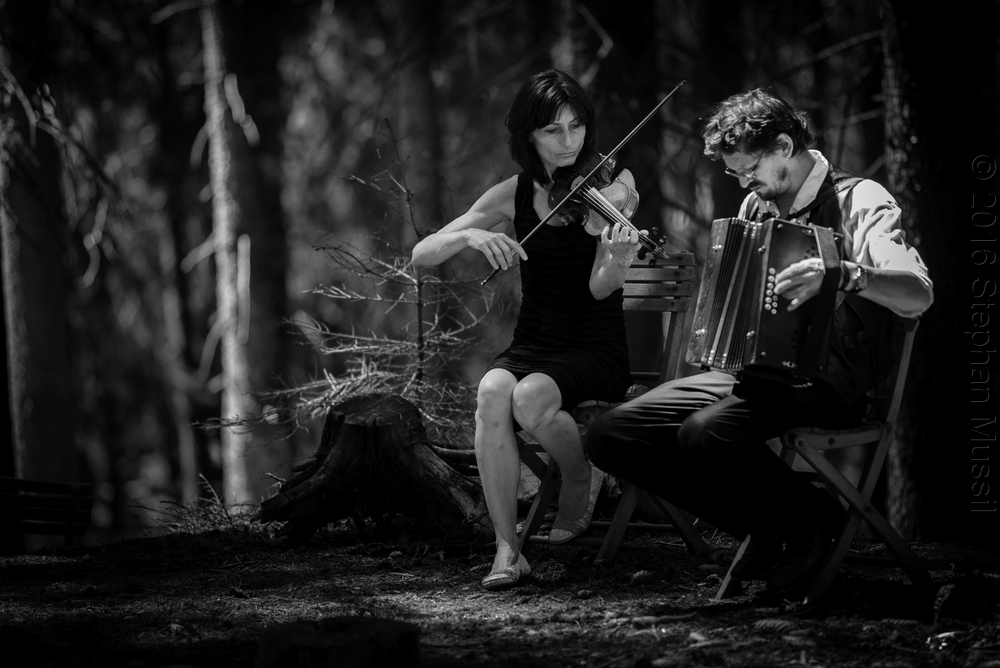 20160710 Schrammelklang @ Litschau c2016 www.stephanmussil.at NR 319.jpg