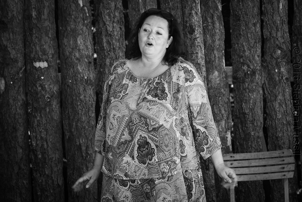 20160710 Schrammelklang @ Litschau c2016 www.stephanmussil.at NR 365.jpg