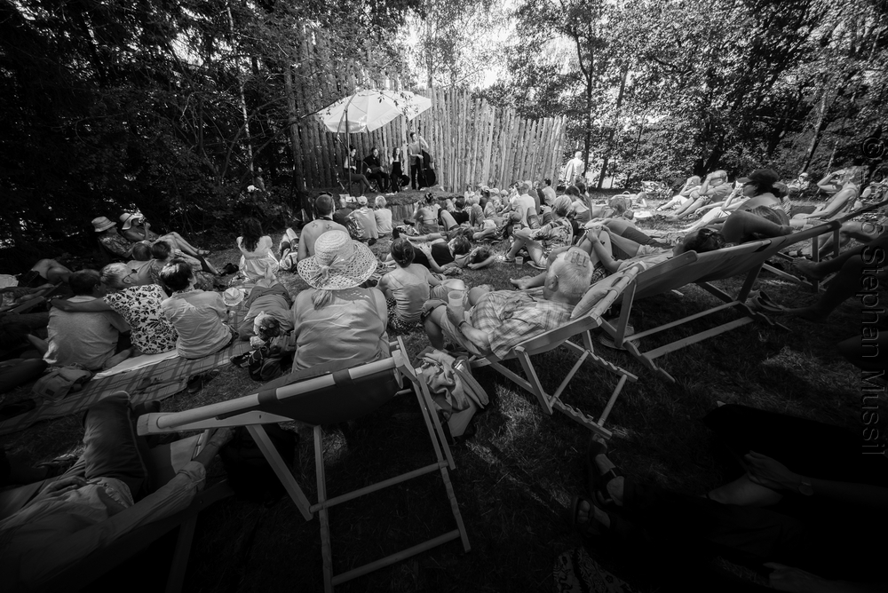 20160710 Schrammelklang @ Litschau c2016 www.stephanmussil.at NR 402.jpg