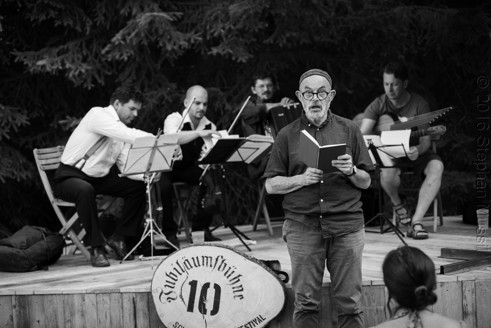 20160710 Schrammelklang @ Litschau c2016 www.stephanmussil.at NR 438.jpg