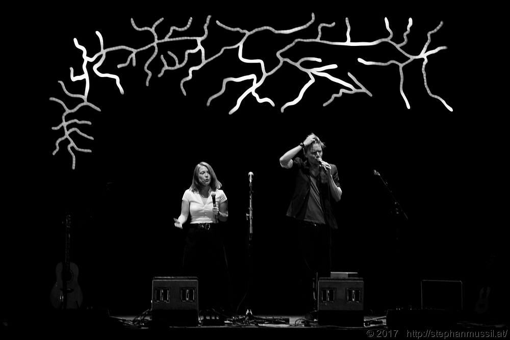 20170707 Schrammelklang @ Litschau c2017 Stephan Mussil 019 sw.jpg