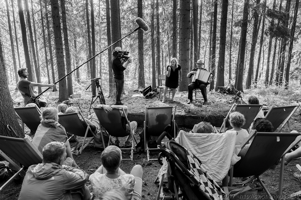 20170708 Schrammelklang @ Litschau c2017 Stephan Mussil 160 sw.jpg